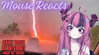 Mouse Reacts to Daily Dose of Internet: The Craziest Animal Encounters (Pt.2 Continued After Collab)