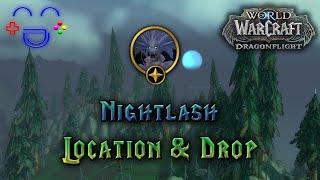 Nightlash Silverpine Forest