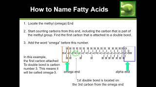 Learn How to Name Fatty Acids (Omega 3, Omega 6, etc)