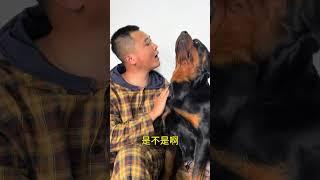 跟我扯 #拉登与阿亮的日常生活
