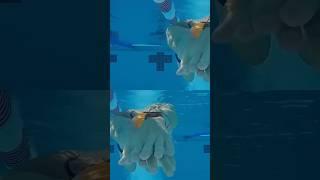 Unlock Your Speed: Swim Faster by Training Faster! (Lesson 1)