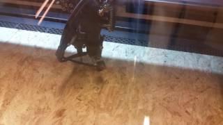 First calibration of the @Bitraffineriet laser