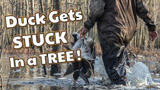 Arkansas Duck Hunting Guide | Flooded Timber