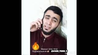 prikol