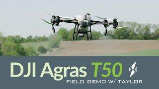 DJI Agras T50 Full Spraying Demo | DJI Agras T50 | Agri Spray Drones