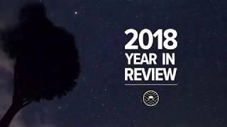 2018 Year in Review | blinsaff