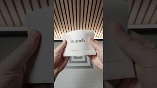 Branch Ergonomic Chair ASMR Unboxing