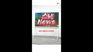 인테리어 소품같은 TV, LG 올레드 오브제컬렉션 LX1
