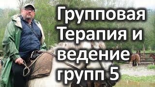 Гештальт-подход при анализе феноменов поля в групповой динамике. Константин Королев. 5 часть