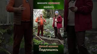 ПОШАГОВО Сделай ЛЮБУЮ почву как ХЛЕБ Дачный агроном