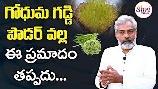 Wheatgrass Juice | Wheatgrass Powder | Health Benefits of Wheatgrass | Shritv Telugu