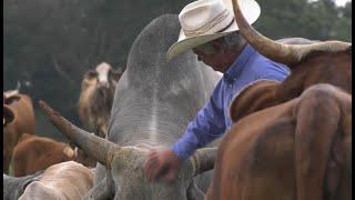 Once a Hobby Farm is Now a Way of Life for Beef Producer