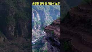 아찔한 절벽 위 계단식 농지