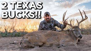 Two Beautiful Texas Bucks!! | Late Season Hunting!!