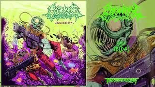 BYONOISEGENERATOR - Eb(D#) (Jazzgrind/Mathgrind) Transcending Obscurity Records