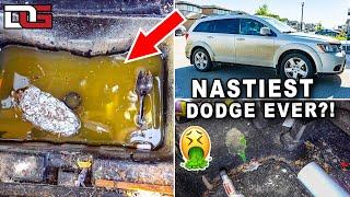 Deep Cleaning The Most Insanely DISGUSTING Car! | The Detail Geek