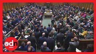 Standing Up to Downright Lies - Parliament's Rules Explained