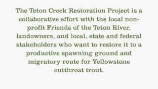 Fly Fishing Conservation - Orvis Teton Creek Restoration