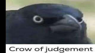 The crow of judgement has seen your actions