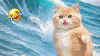 Whiskers and Giggles: The Most Hilarious Cat Videos of 2024! 