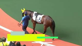 SHA TIN PREVIEW | SUNDAY 13 OCTOBER | RACING PASSPORT