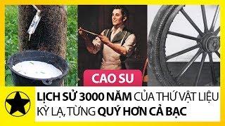 Lịch Sử Hơn 3000 Năm Của “Cao Su” – Thứ Vật Liệu Kỳ Lạ, Từng Quý Hơn Cả Bạc