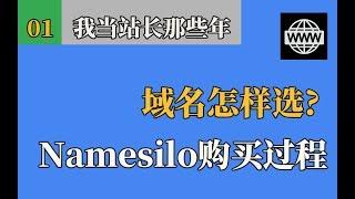 如何选域名？阿里云 Namesilo购买域名教程，不推荐Godaddy。是否备案？我当站长那些年01