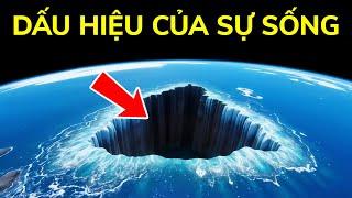 Chuyện gì đang xảy ra sâu trong Tam giác quỷ Bermuda?