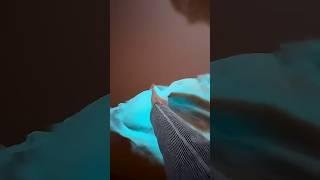 밤마다 파랗게 빛나는 해변의 비밀 #해양생물 #바이오루미네슨스 #여행버킷리스트