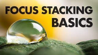 Focus Stacking Basics in Macro Photography