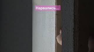 Нарвались на ...