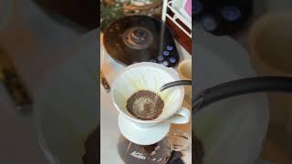 Quiet Nights & V60 Pour-Over  #shorts #coffee #pourover #specialtycoffee #hario #v60 #coffeelover