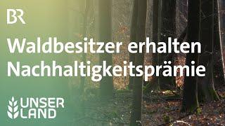 Waldbesitzer bekommen Nachhaltigkeitsprämie | Unser Land | BR Fernsehen