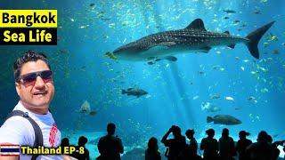 Bangkok Sealife Adventure | Ocean World in Bangkok | Thailand EP-8