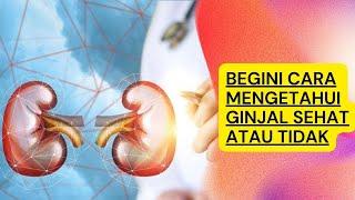 Ketahui 5 Ciri-Ciri Ginjal yang Sehat