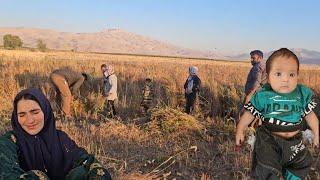 Making the family of Ahmed and Mirza work to pick brooms