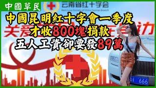 中國昆明紅十字會一季度才收800塊捐款.五人工資卻要發89萬|Reaction video