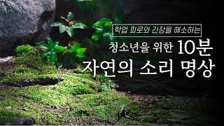 개울물 소리와 빗소리로 마음을 정화하는 자연의 소리 명상│청소년을 위한 10분 명상│피로한 몸과 마음을 다스리는 시간