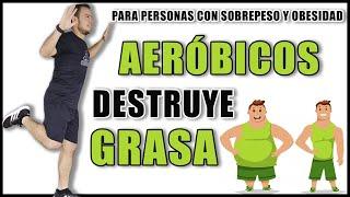 AEROBICS para Personas con SOBREPESO [Destruye Grasa]