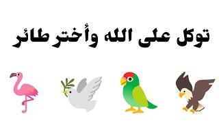 تأكد أنت المقصود بها ليست صدفة أختر طائر وأسمع ماذا يحمل لك توكل على الله وأفتحها