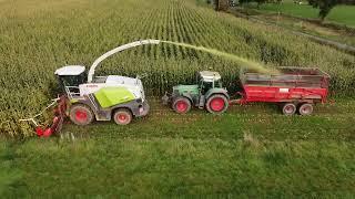 La Team Fendt à l'ensilage de maïs 2021 ! #Fendt920 #Fendt816 #Fendt826