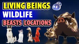 All Wildlife Beasts - Living Beings Archive | Genshin Impact Fox, Squirrel, Boar, Hound, Cat, Weasel