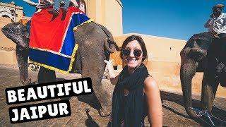 JAIPUR'S MONKEY TEMPLE & AMER FORT | India Travel Vlog