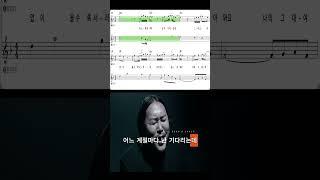 조째즈의 데뷔곡 모르시나요 로코베리의 프로듀싱 아래 재탄생한 이 곡, 들으면 감성 폭발악기 연주자라면 함께 연주해보세요! #조째즈 #모르시나요 #로코베리