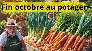 Semaine 44 au potager :  Carottes, poireaux et framboisiers à l'honneur