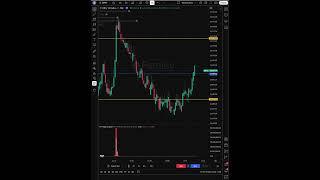 Can your Indicator catch reversals like this? || The Best Leading Indicator #niftyoptions #nifty