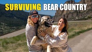 We SAW A GRIZZLY BEAR! | Sailing Sunday Vlog - 261