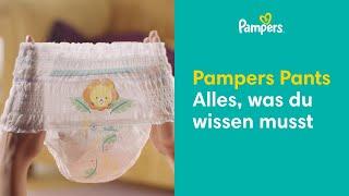 Die wichtigsten Fragen zu Pampers Pants