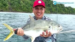 Caña Okuma Silver Slayer Tarpon Spinning y Carrete Okuma Salina Saltwater Spinning