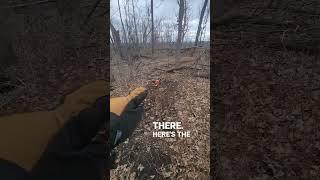 An Easy Way to Get Deer to Walk by Your Stand #Deer #deerhunting #whitetaildeer #wildlife